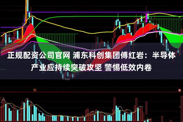 正规配资公司官网 浦东科创集团傅红岩：半导体产业应持续突破攻坚 警惕低效内卷