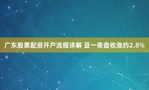 广东股票配资开户流程详解 豆一夜盘收涨约2.8%